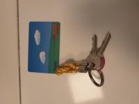 CS2059/2026 BUNCH OF KEYS + COOP CARD